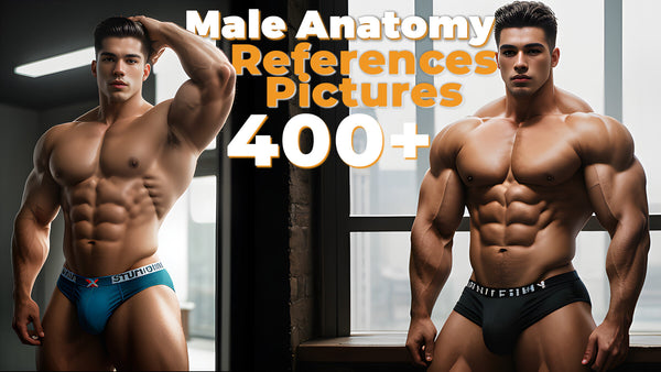 400+ Male Anatomy References Pictures