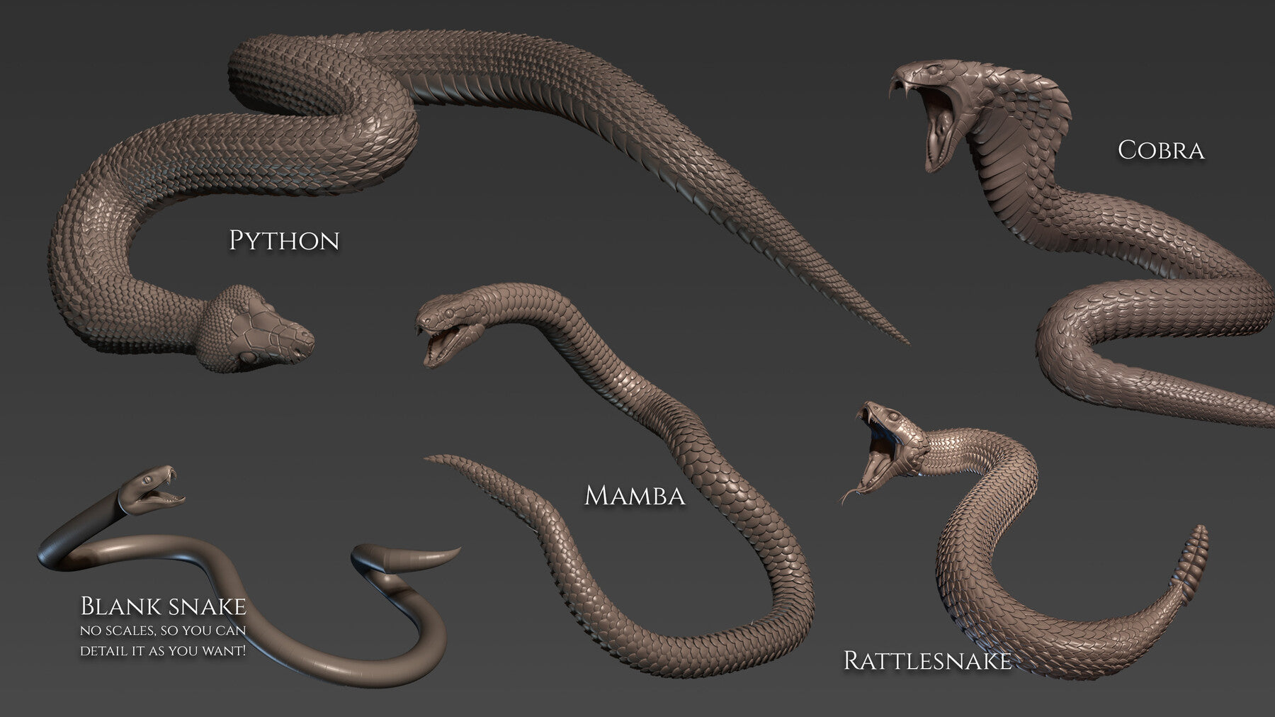 5 Snake curve brushes for Zbrush