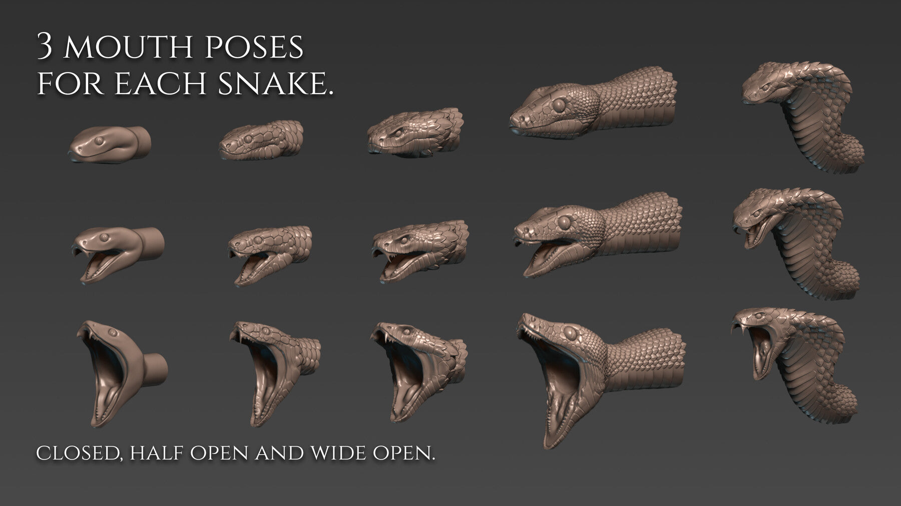 5 Snake curve brushes for Zbrush