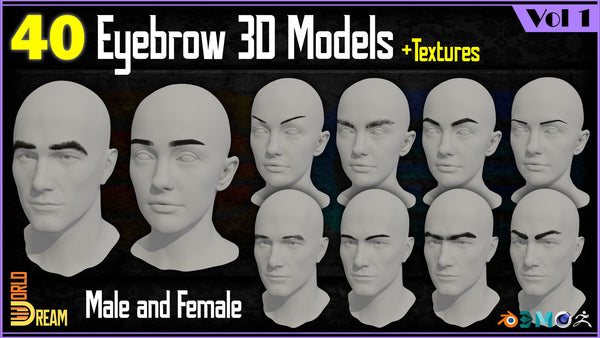 40 Eyebrow 3D Models | Vol 1