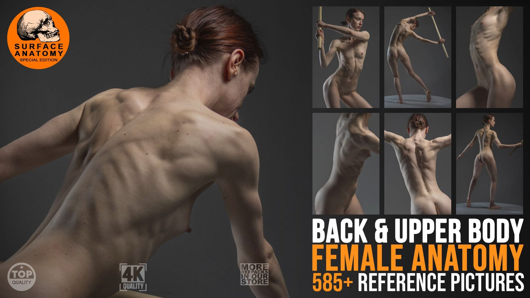 585 Back and Upper Body - Female Anatomy