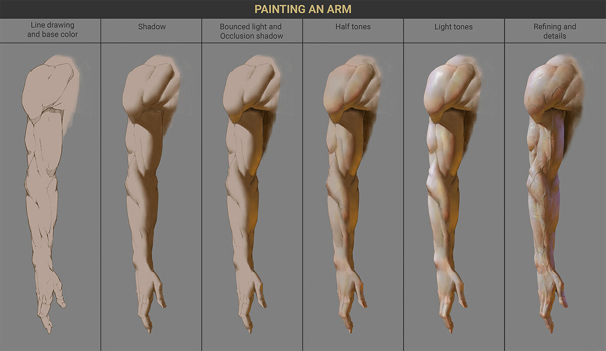 Drawing and Painting human body: Arm