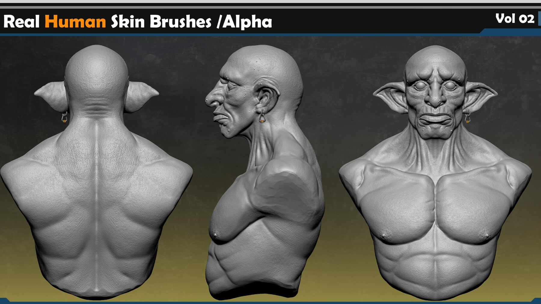 Real Human Skin Brushes /Alpha Vol 02