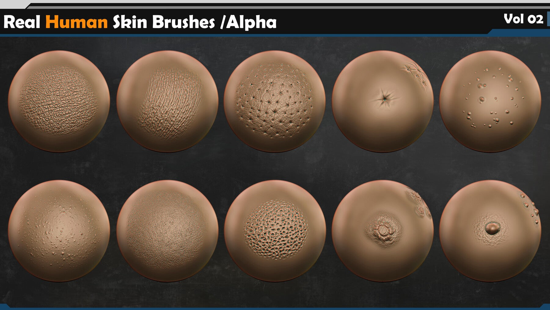 Real Human Skin Brushes /Alpha Vol 02