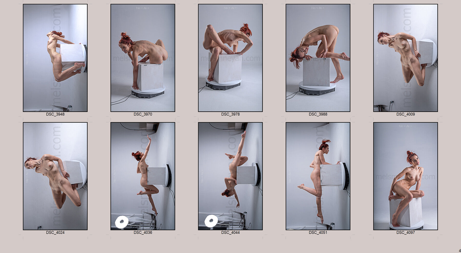 Dynamic Art Poses 1250+ Reference Images