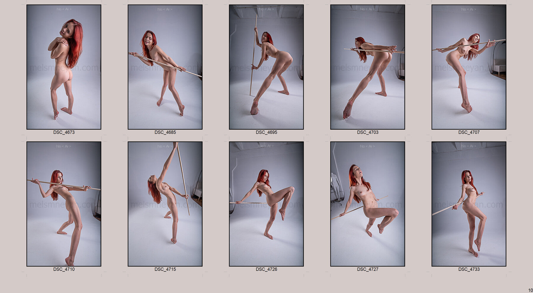 Dynamic Art Poses 1250+ Reference Images