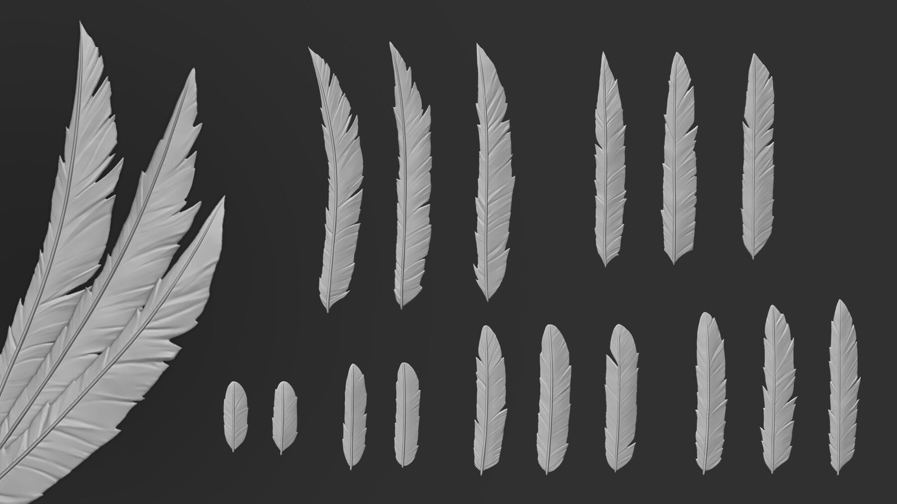 Stylized Feather IMM brushes (ZBrush 2019.1 and higher)