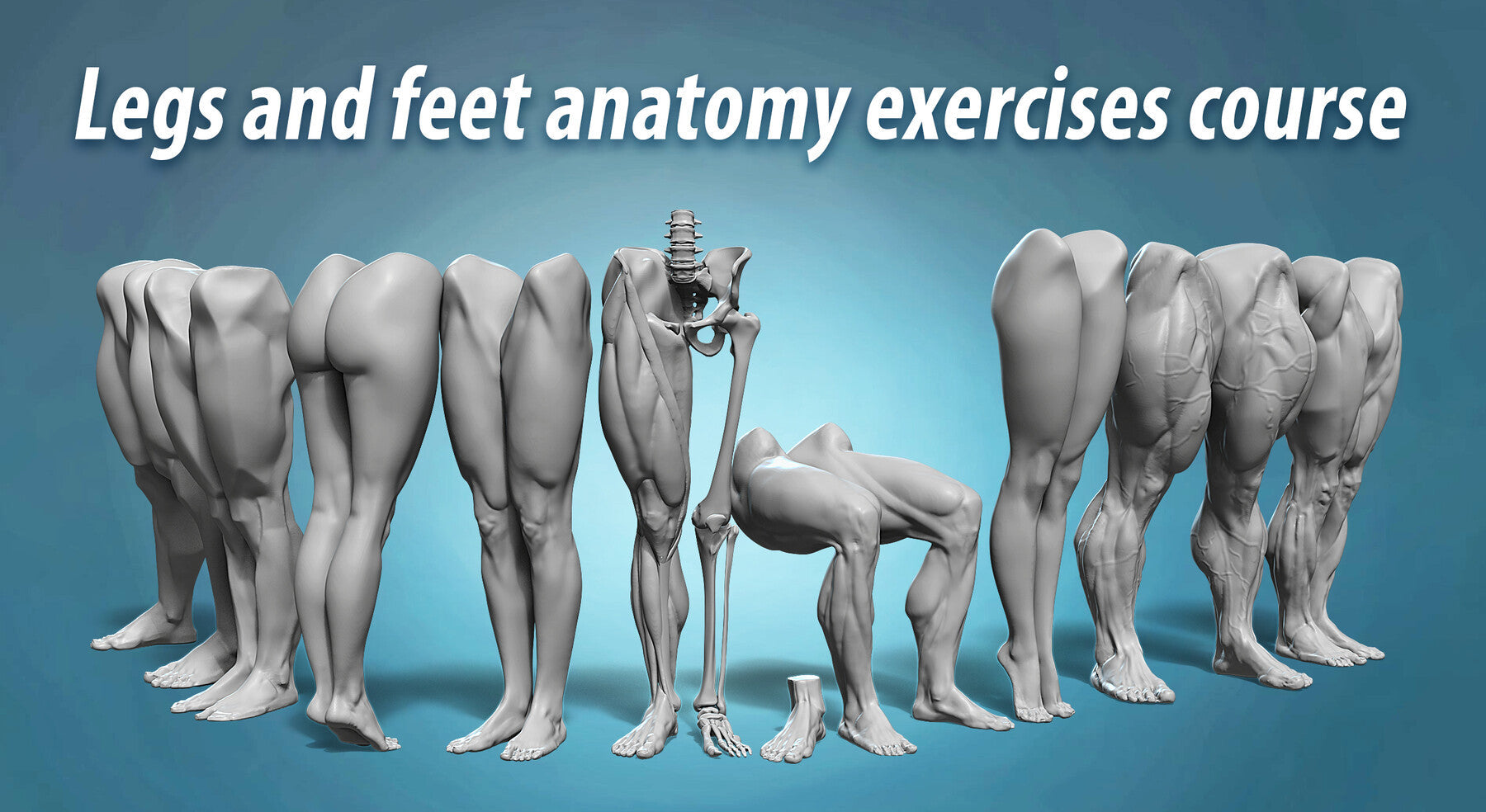 Legs and feet anatomy exercise course