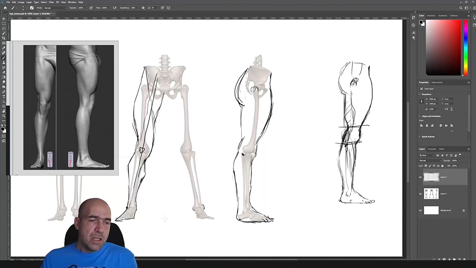 Legs and feet anatomy exercise course