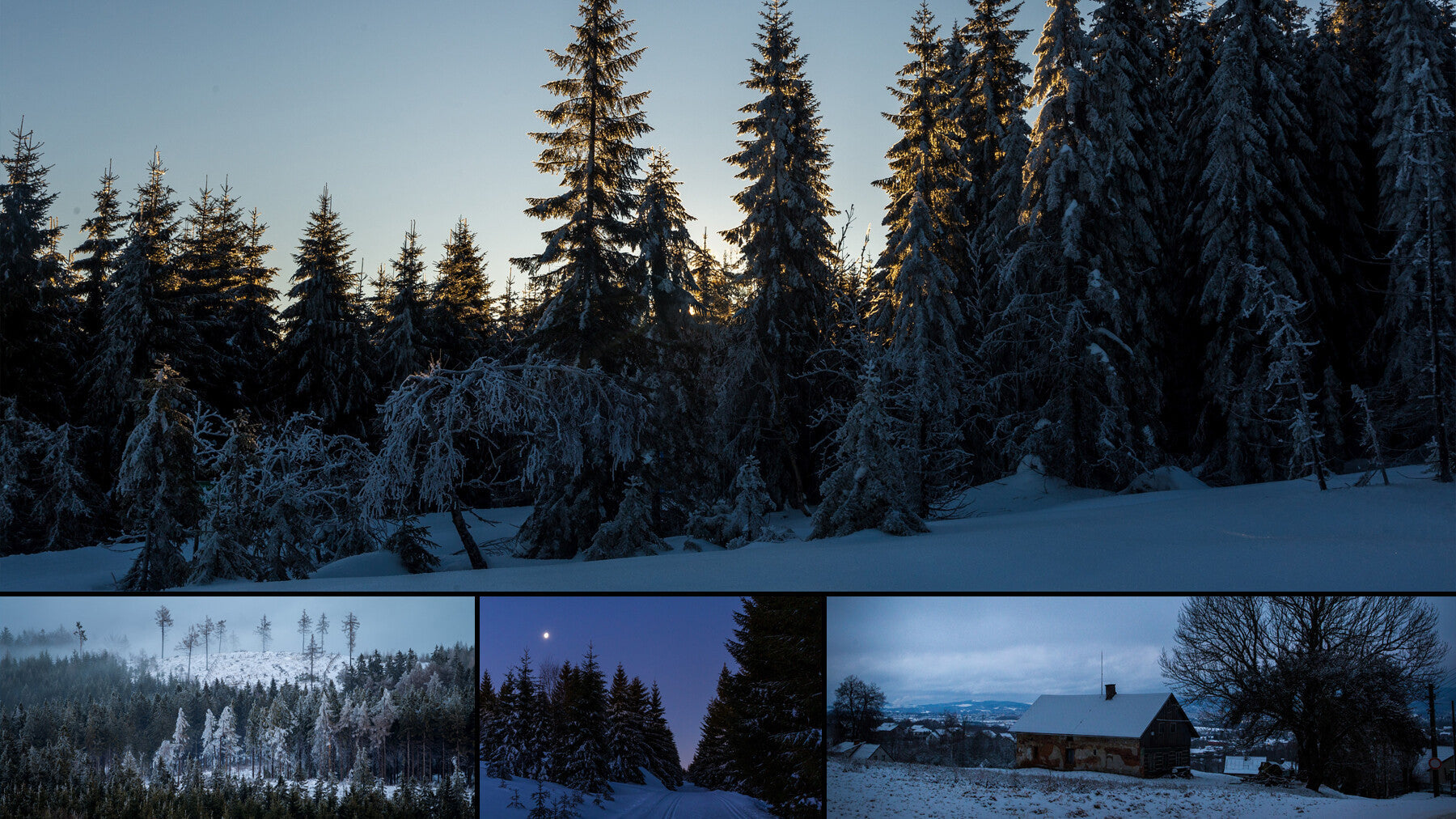 Winter vol.2 - Reference Photo Pack For Artists 593 JPEGs