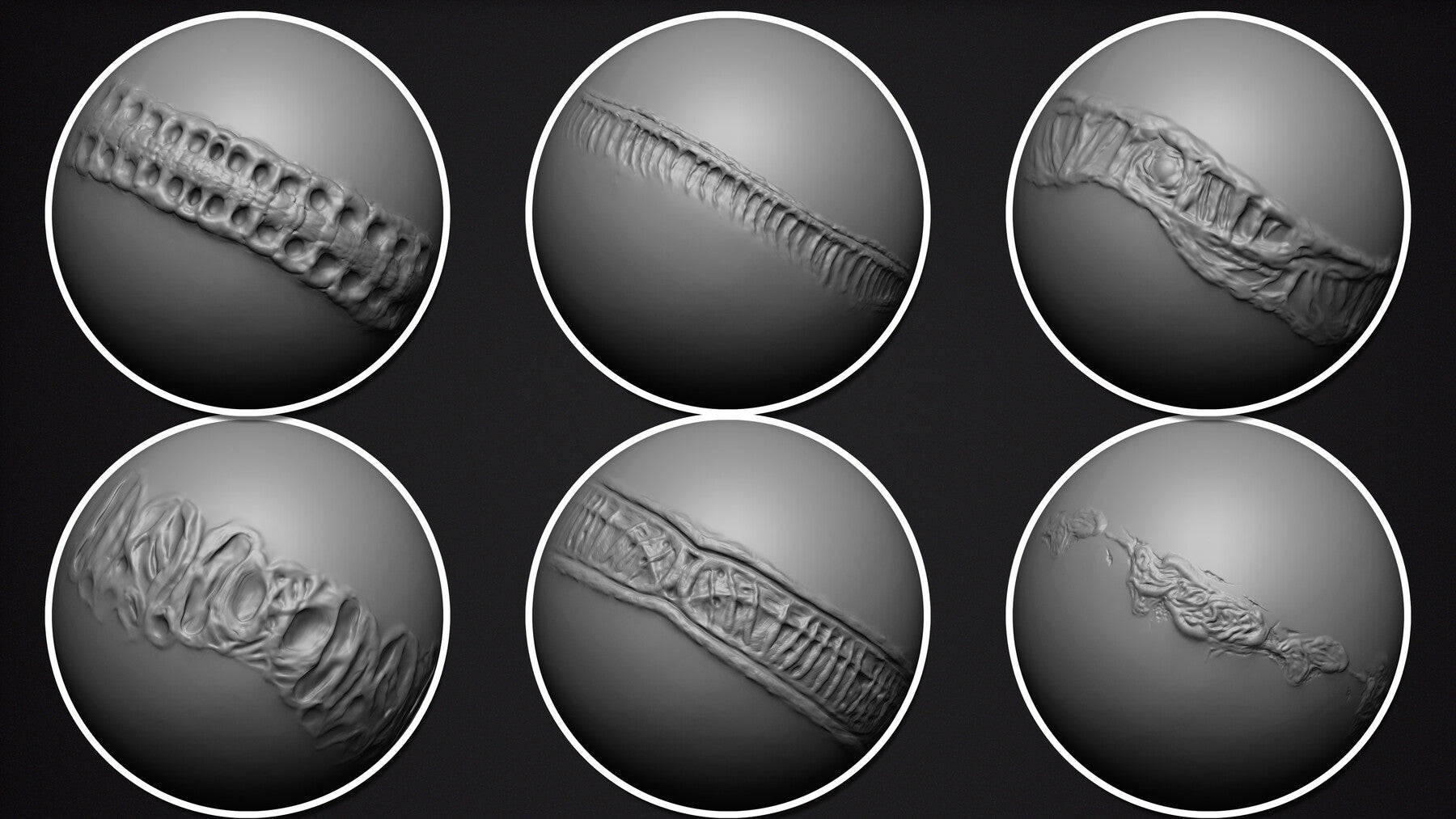 50 Creature Skin Roll Brush Vol.01