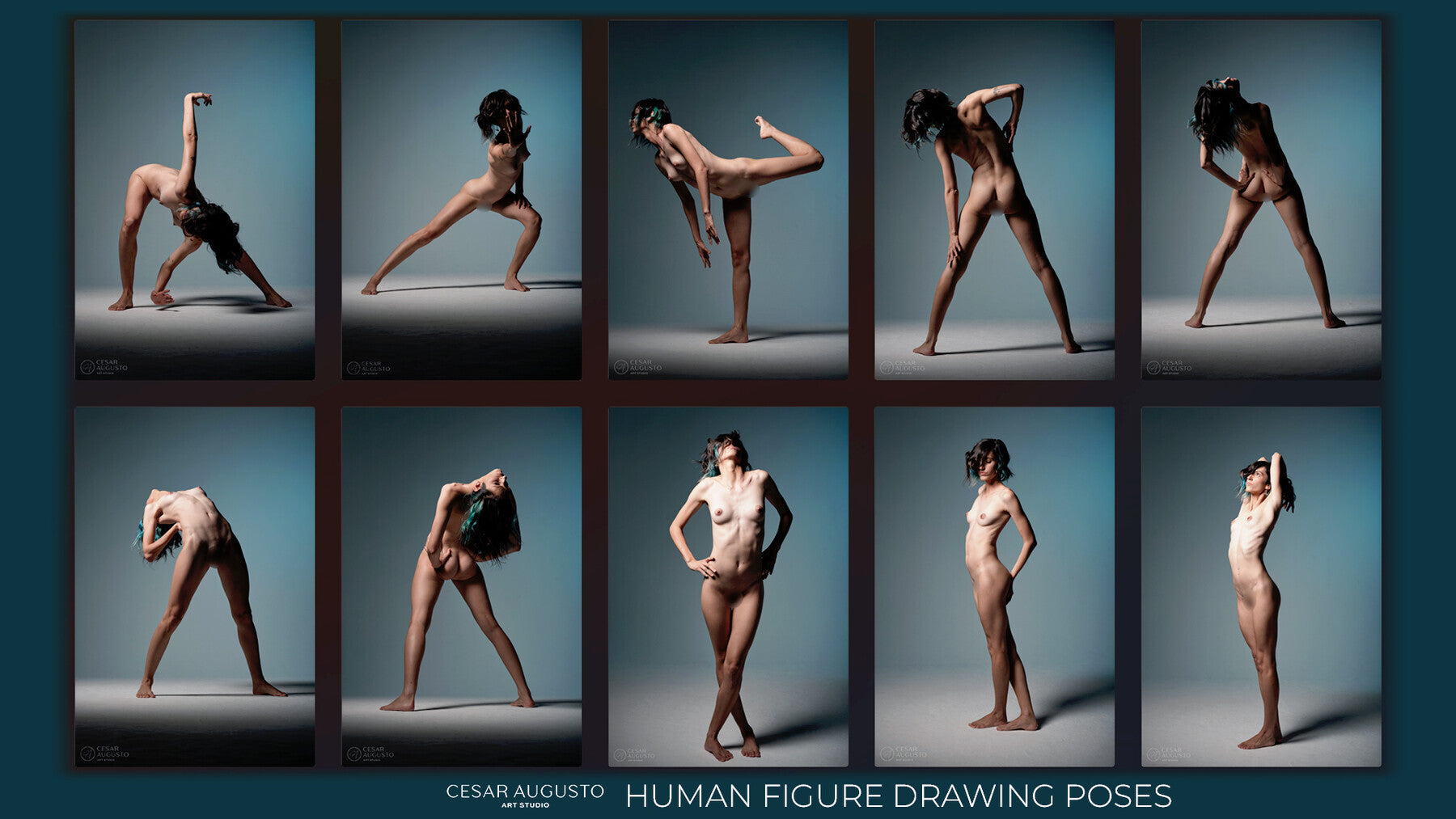 500+ Female Figure Poses - Aster Poised Elegance