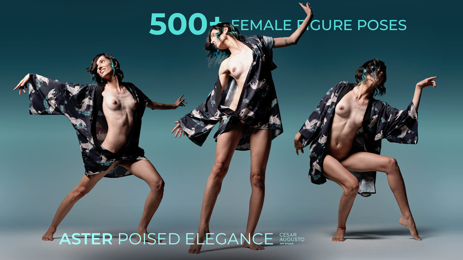 500+ Female Figure Poses - Aster Poised Elegance