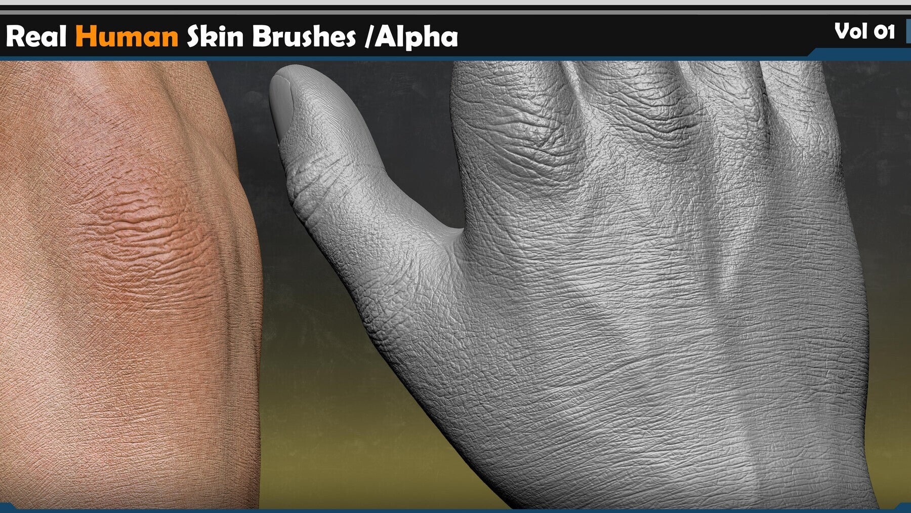 125 Real Human Skin Brushes /Alpha Pack!