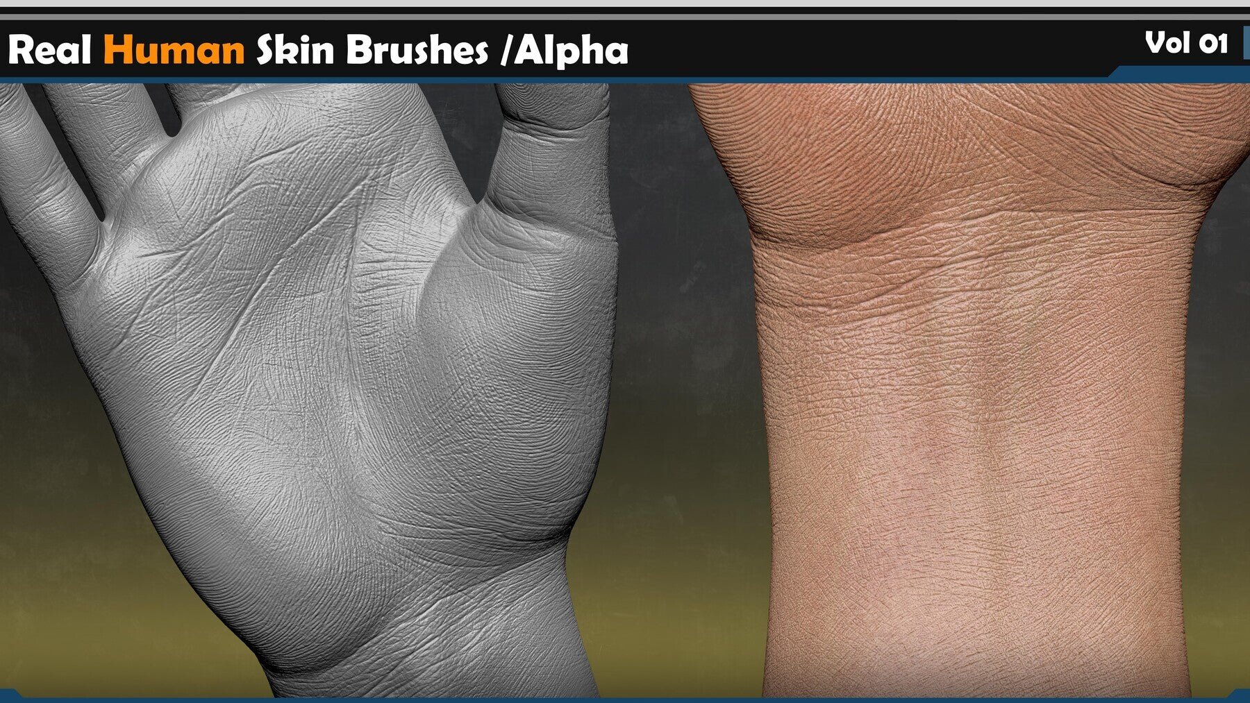 125 Real Human Skin Brushes /Alpha Pack!