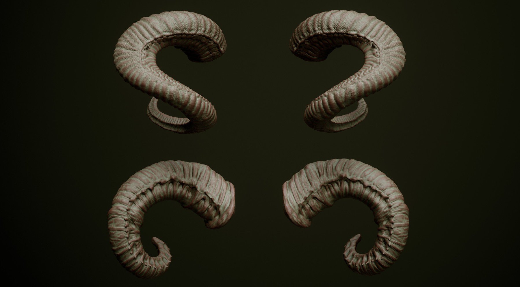 HORNS - 60 Horns, Antlers, Frills & Horn Sockets IMM + VDM