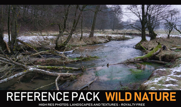 Wild Nature Pack - 160+ Reference pictures
