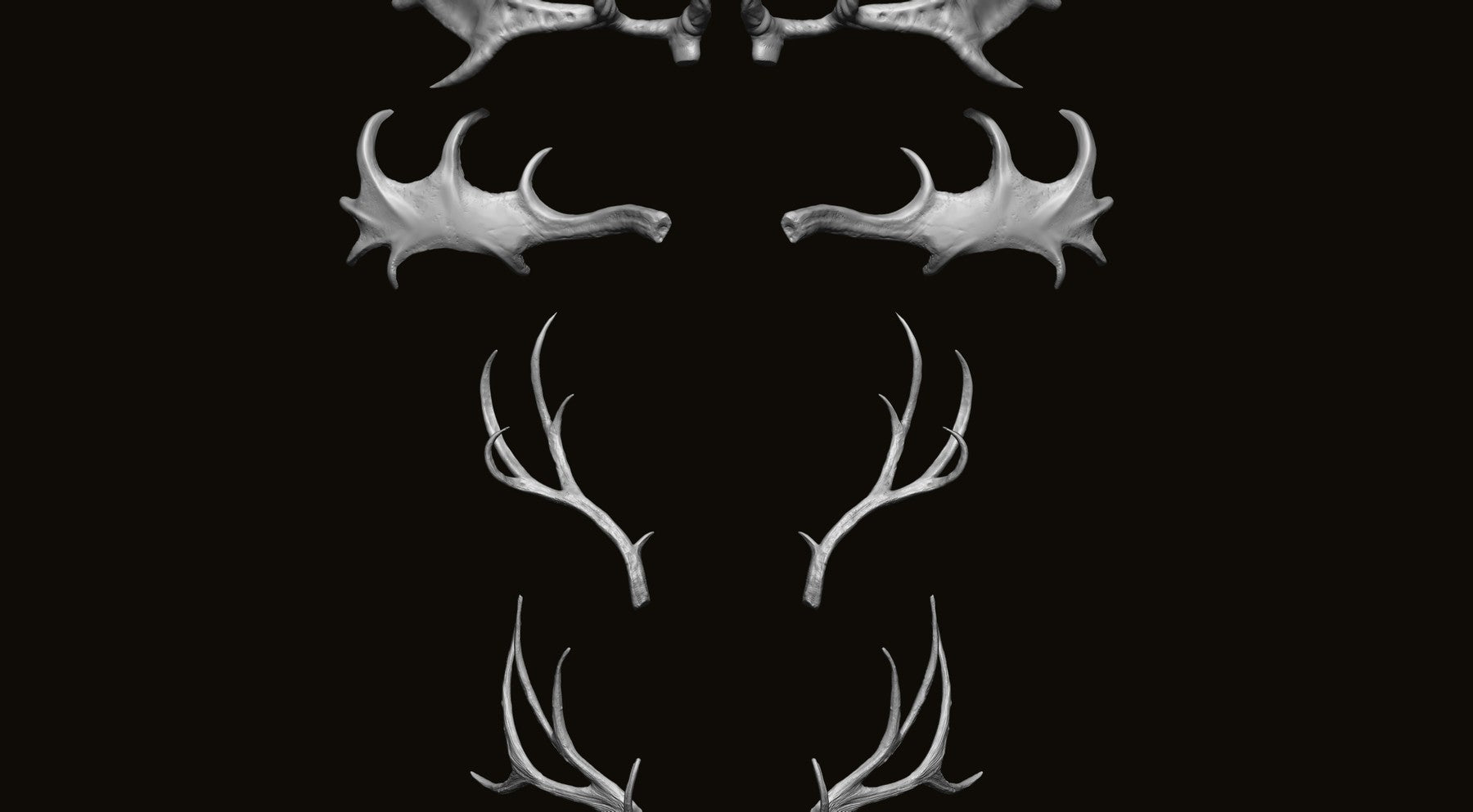 HORNS - 60 Horns, Antlers, Frills & Horn Sockets IMM + VDM