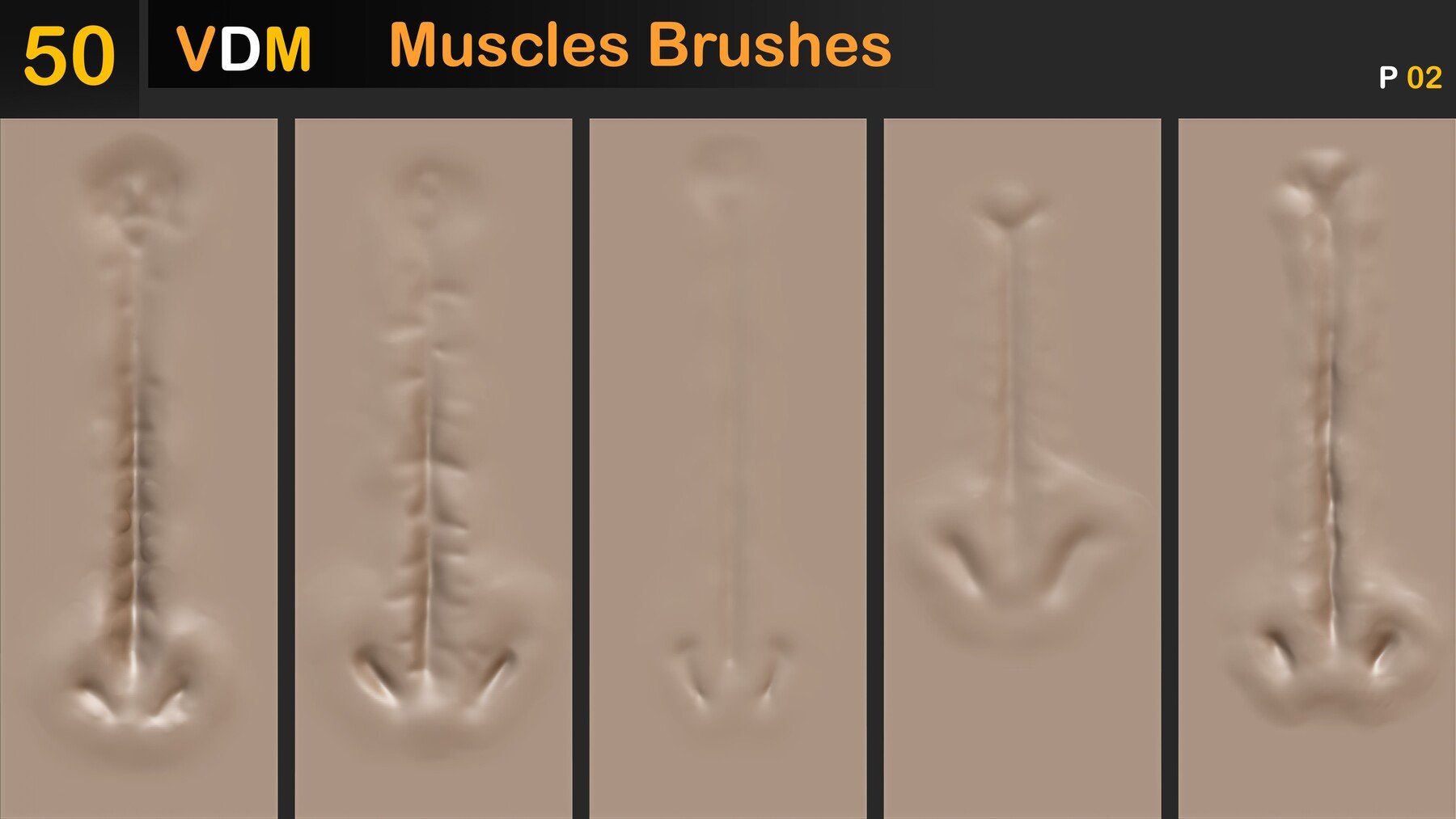 Muscles Brushes ( VDM ) Vol 02