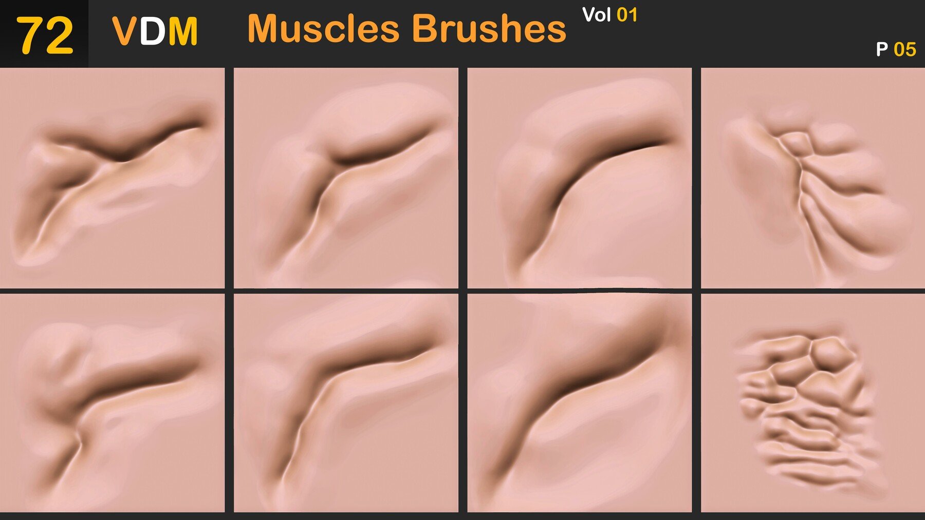 Muscles Brushes ( VDM ) Vol 01