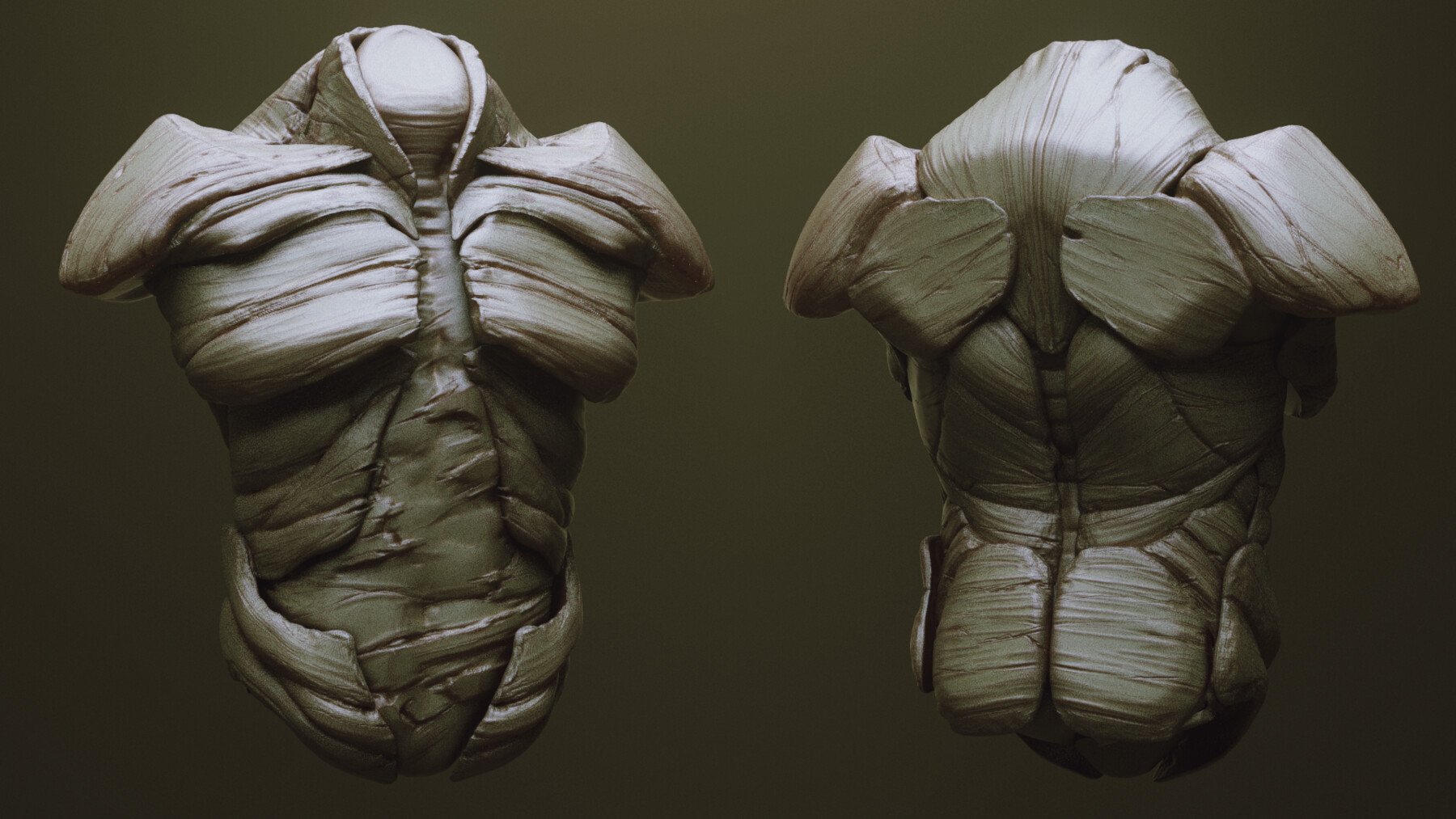 TORSOS - 33 Character & Creature Zbrush Insertmesh Brush