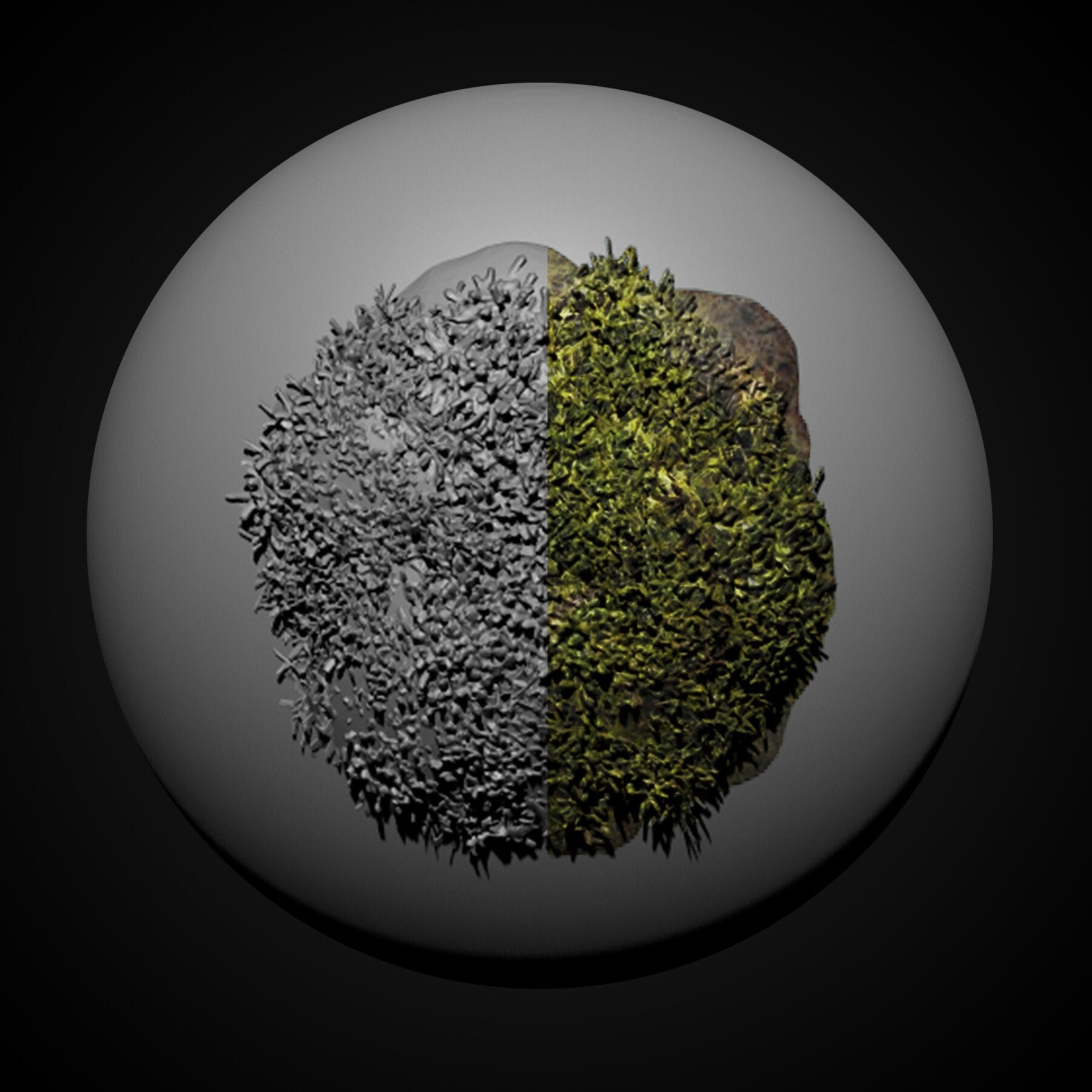 Zbrush Imm Nature Brush Pack Ivy Moss Leaves Shrub & Flowers