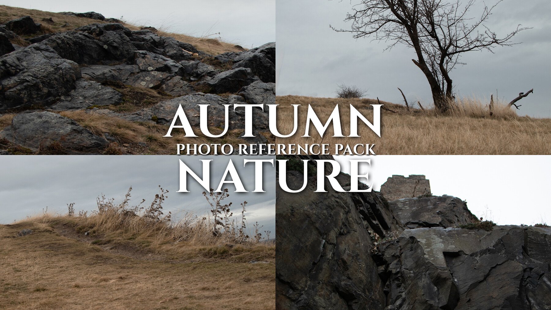 Autumn Nature - Photo Reference Pack 193 JPEGs