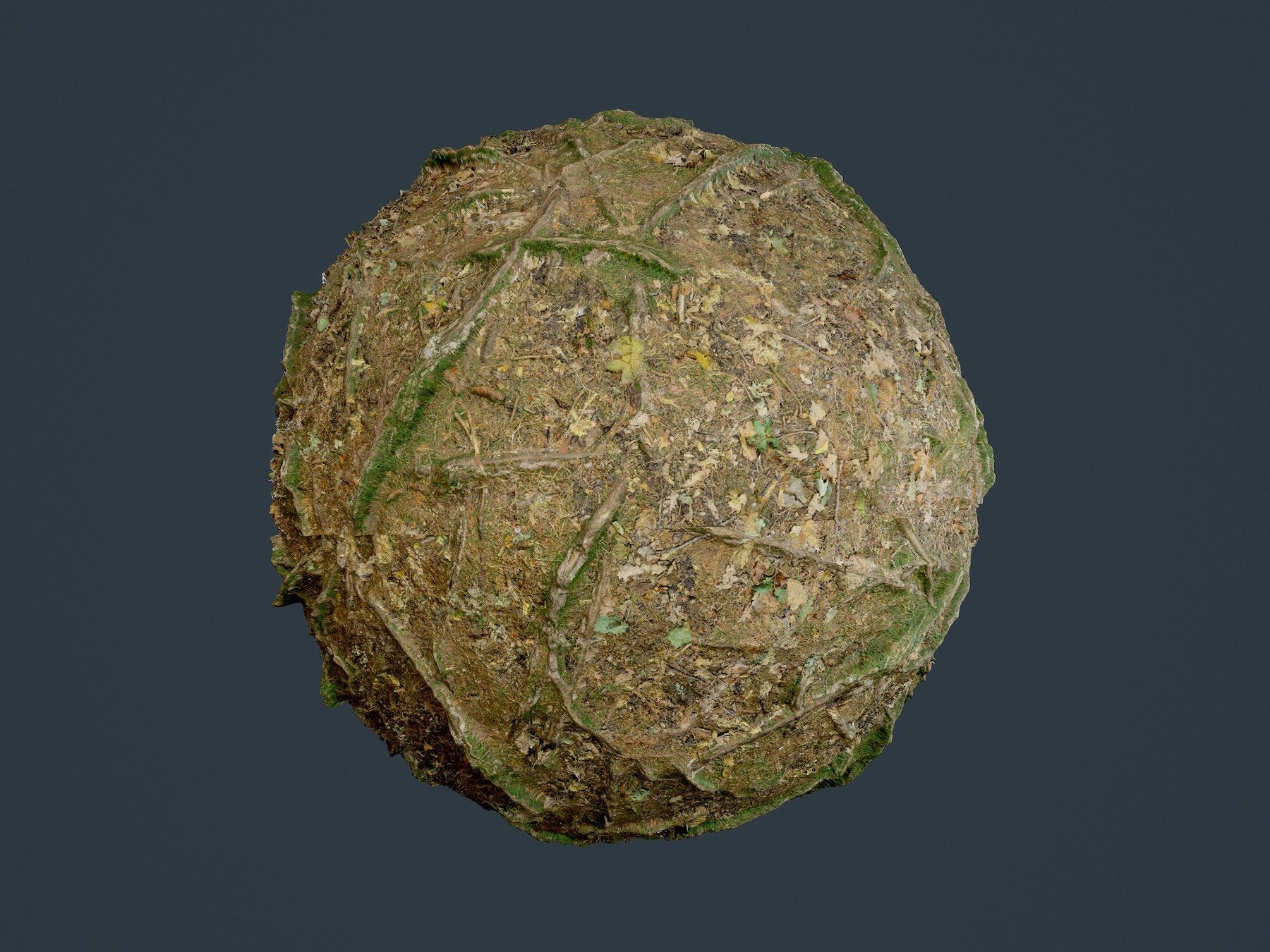 Forest Ground Tree Root Seamless PBR Texture 02 – S3ART Store