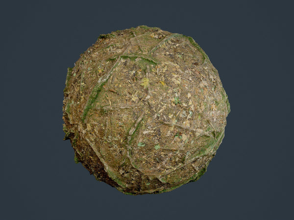 Forest Ground Tree Root Seamless PBR Texture 02