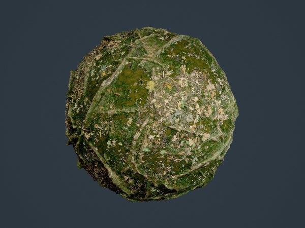 Forest Ground Seamless PBR Texture 04