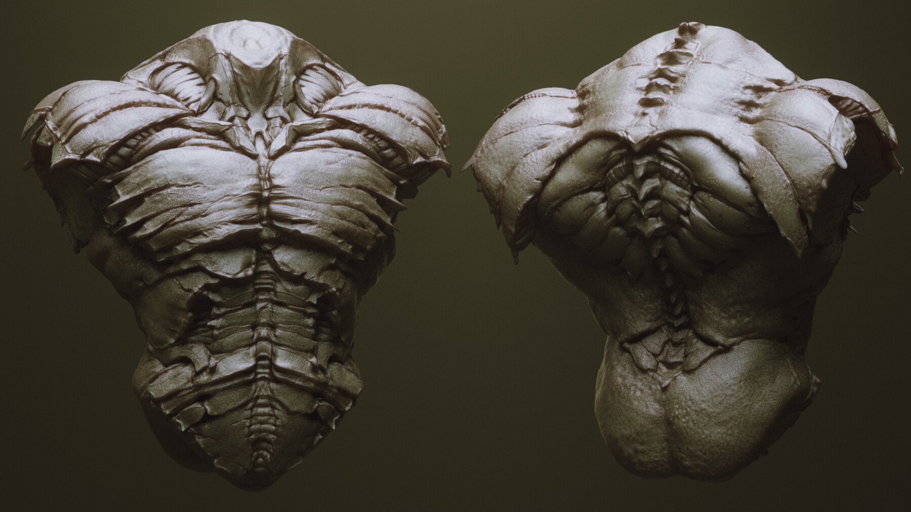 TORSOS - 33 Character & Creature Zbrush Insertmesh Brush