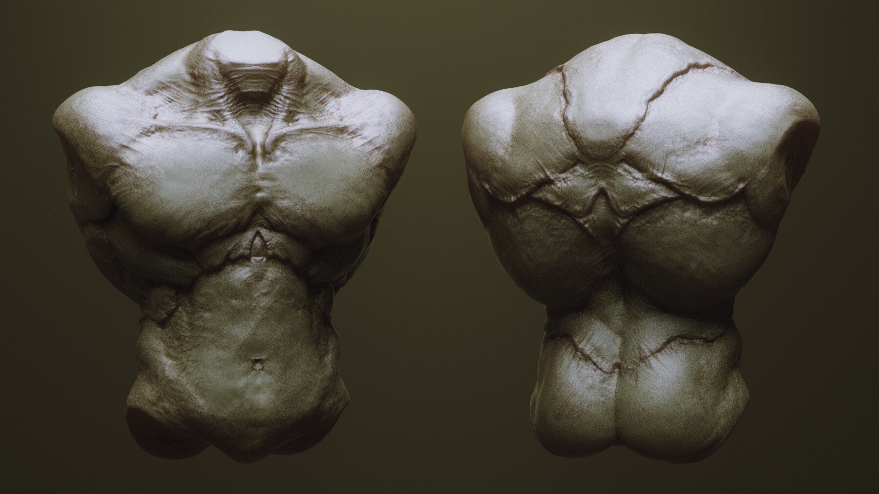 TORSOS - 33 Character & Creature Zbrush Insertmesh Brush