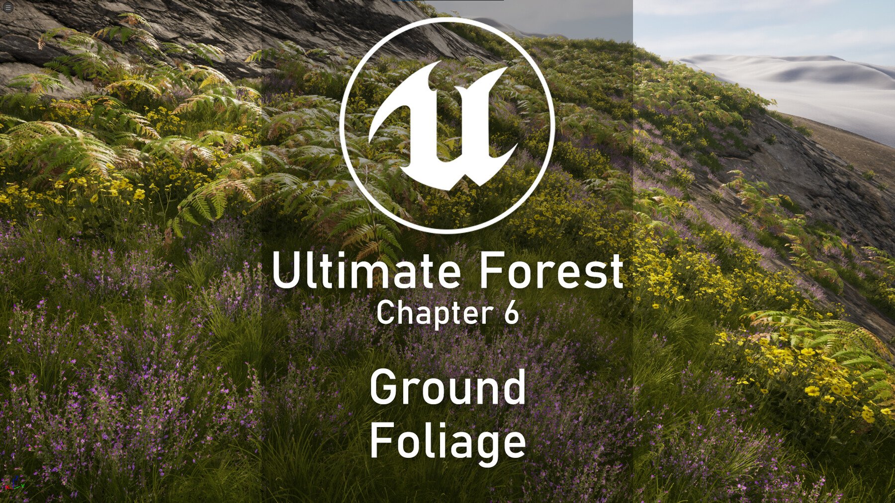 Unreal Complete Scene - Forest Environment