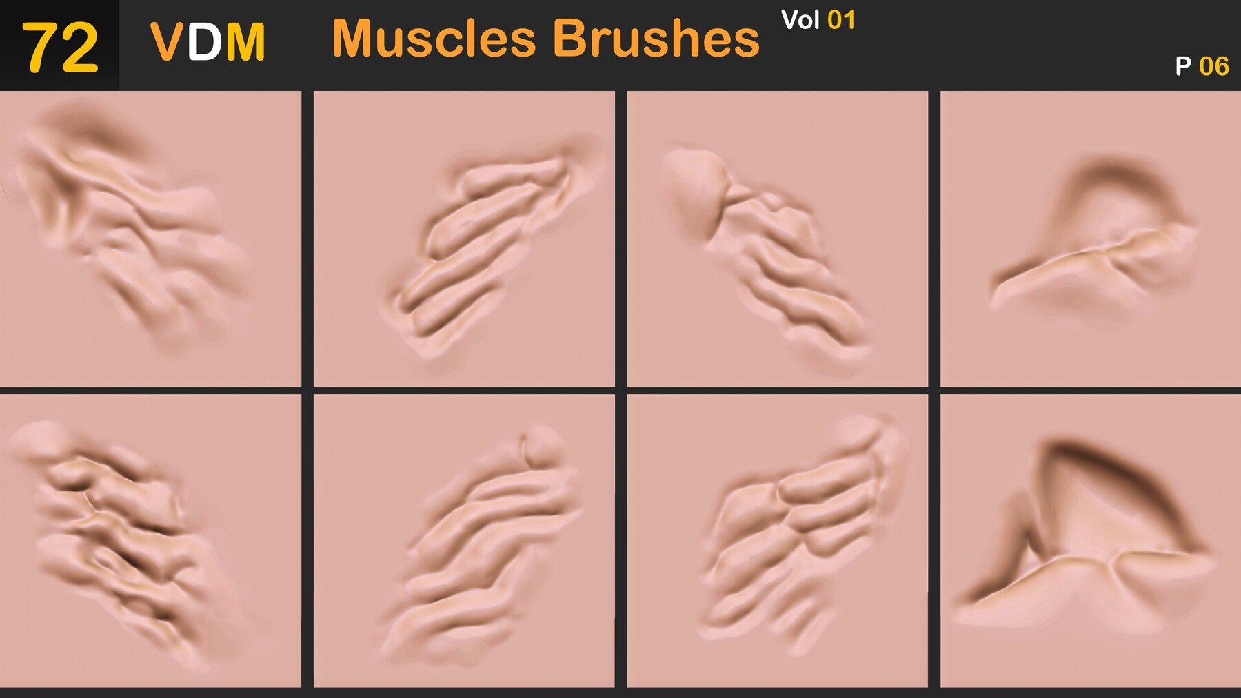 Muscles Brushes ( VDM ) Vol 01