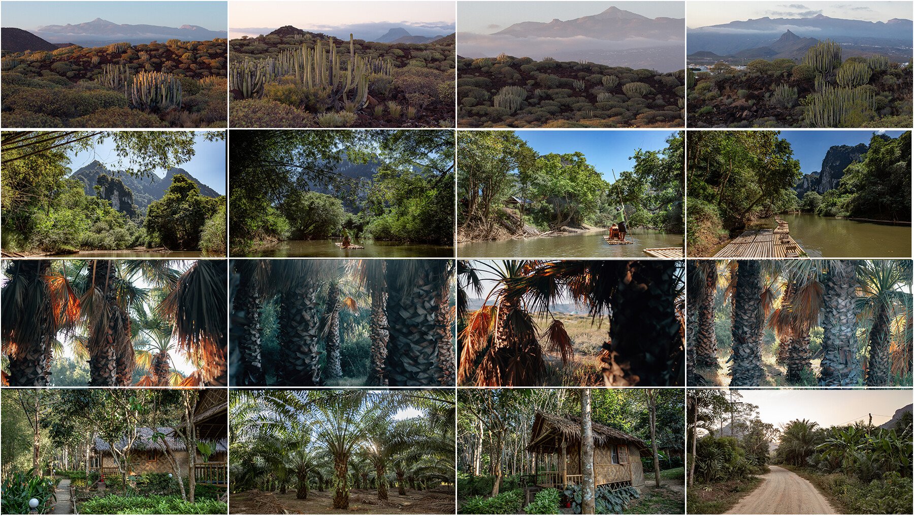 890+ Tropical Sights Reference Pictures