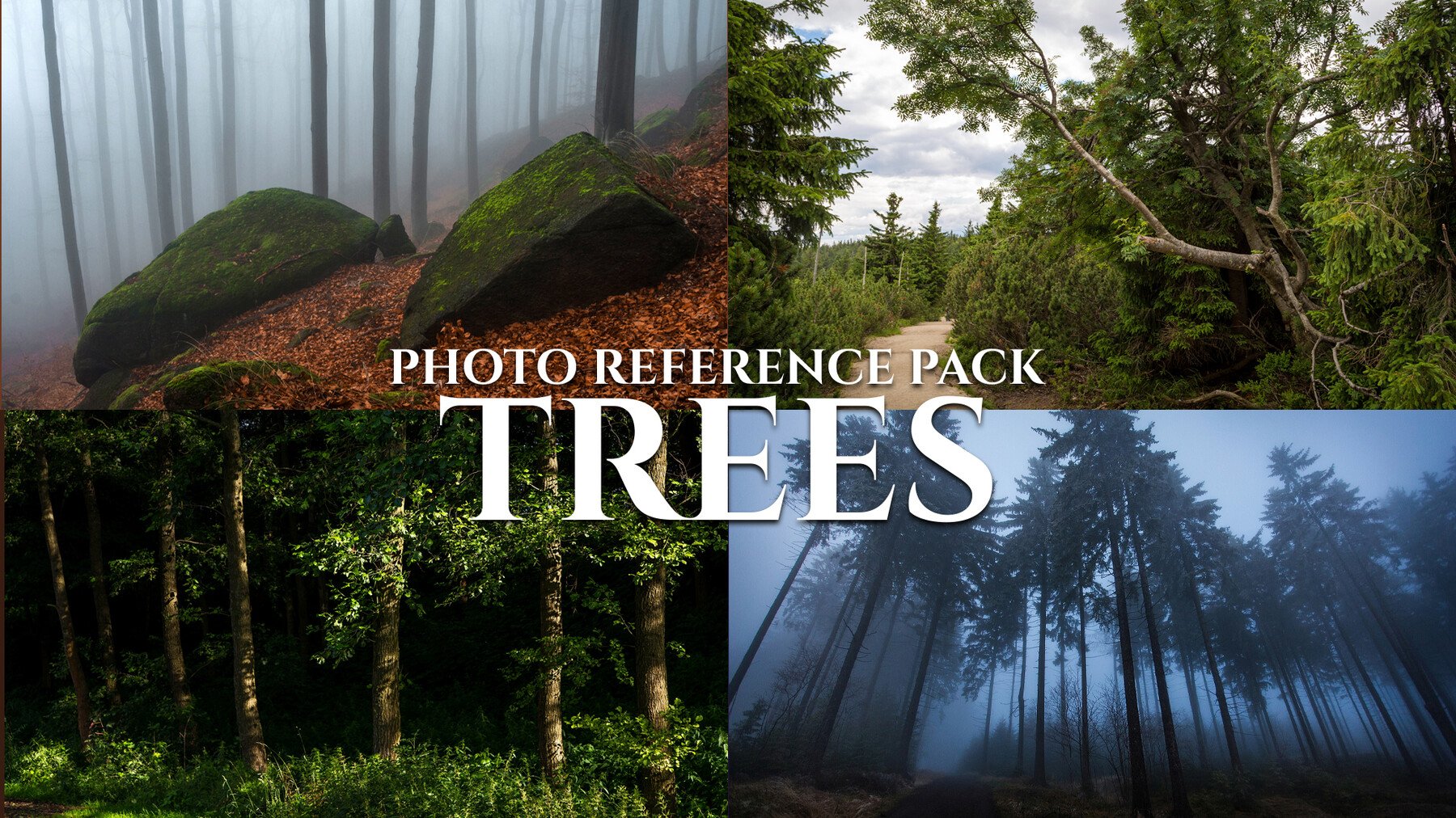 Trees- Photo Reference Pack- 427 JPEGs