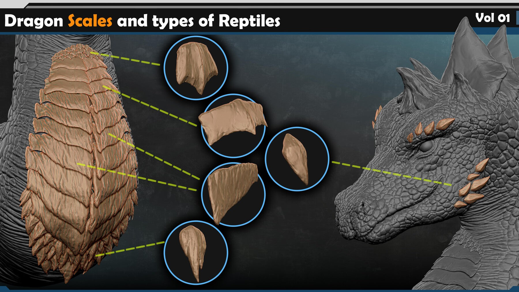 Dragon & Reptile Scales Vol 01