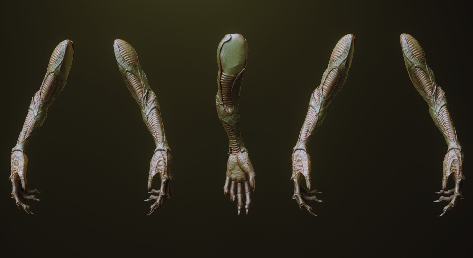 ARMS - 33 Character & Creature arms Zbrush Insertmesh Brush