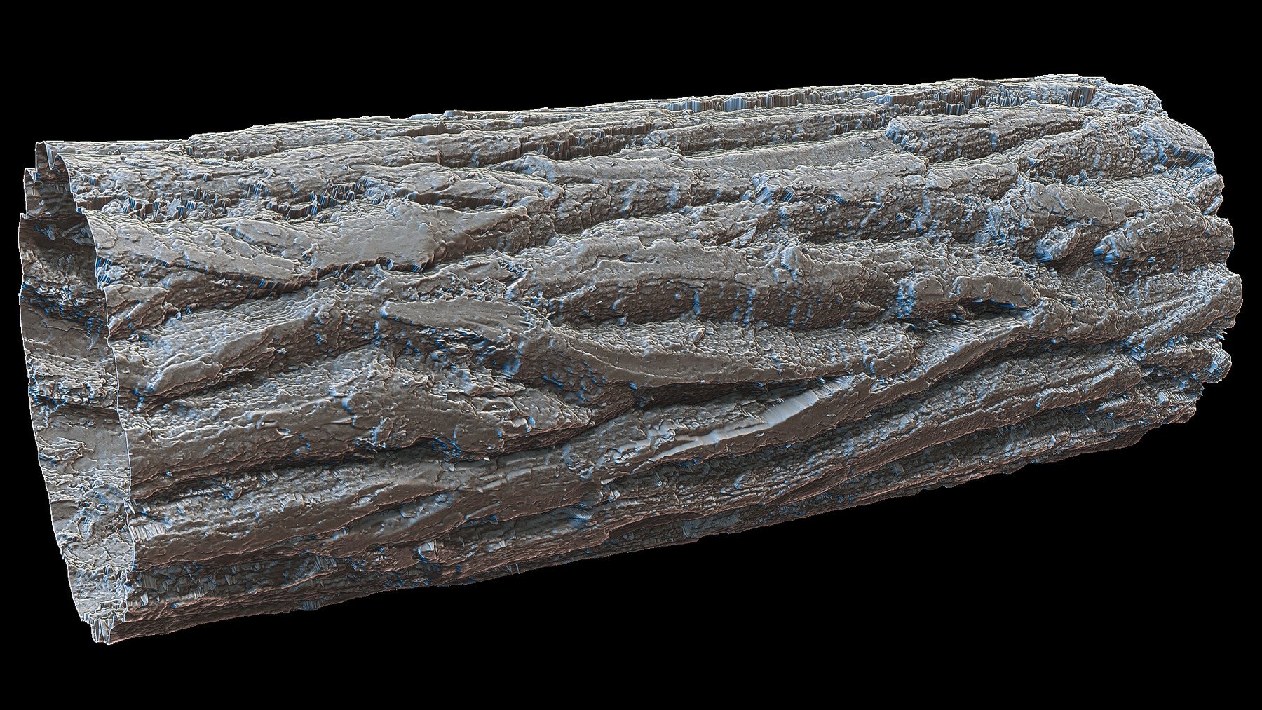 Ultra HQ Tree Bark Seamless Sculpt Zbrush brushes + Alphas (Blender, Substance, etc.) Vol.1