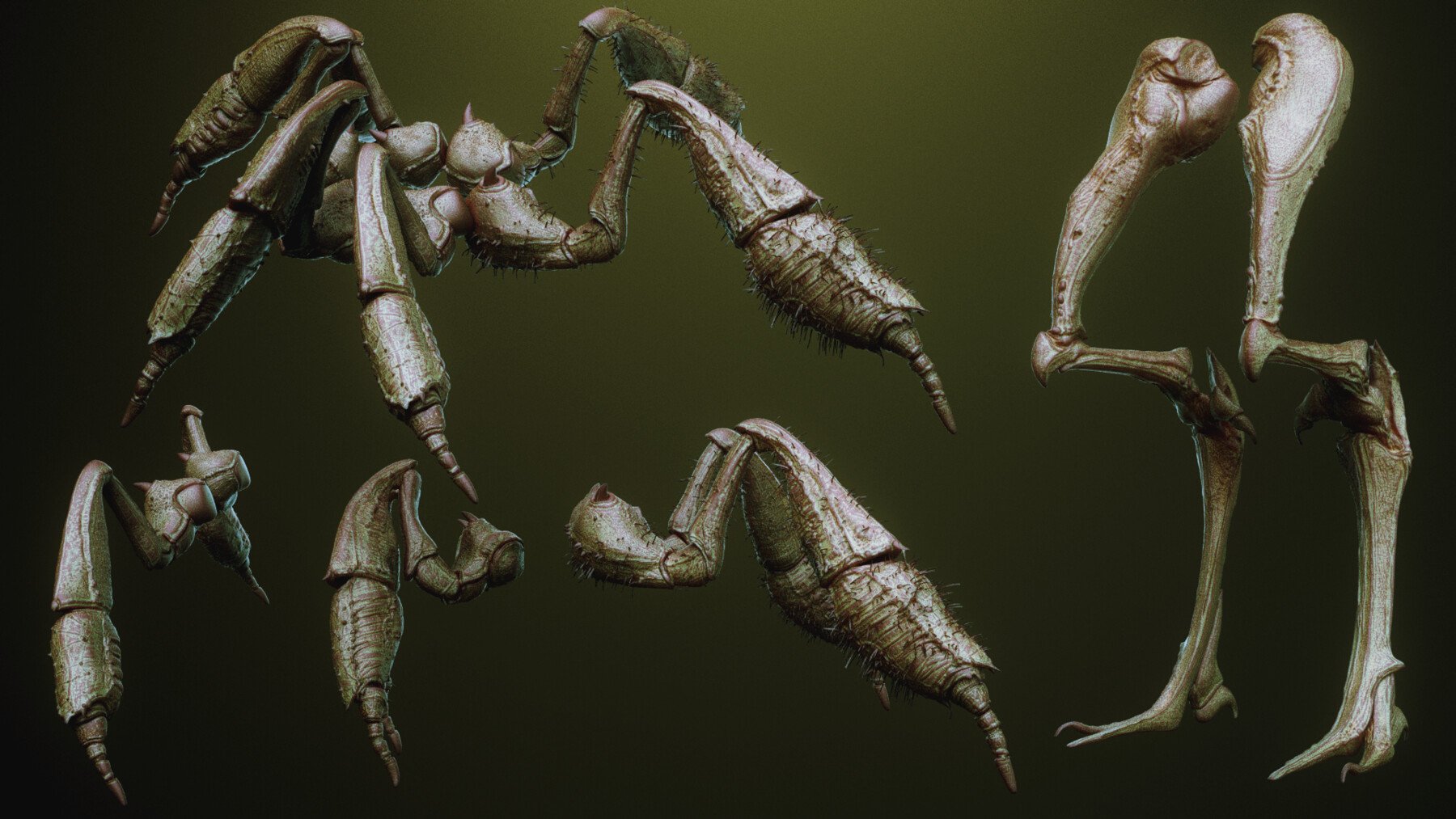 iNSEKt : 150+ Kitbash Insectoid Monster Parts