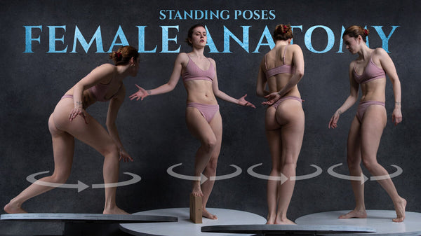 Female Anatomy - (Standing Turnaround Poses) - Reference Photo Pack 855 JPEGs