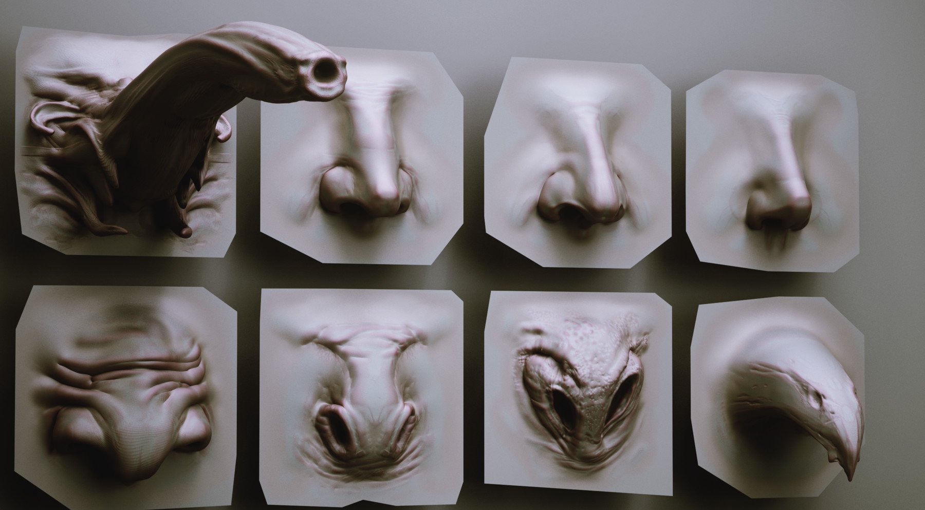 NOSES - 40 ZBrush VDM Nasal Areas