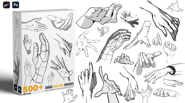 Hands Anatomy Brushes | Study Brushes | Concept art [500+]