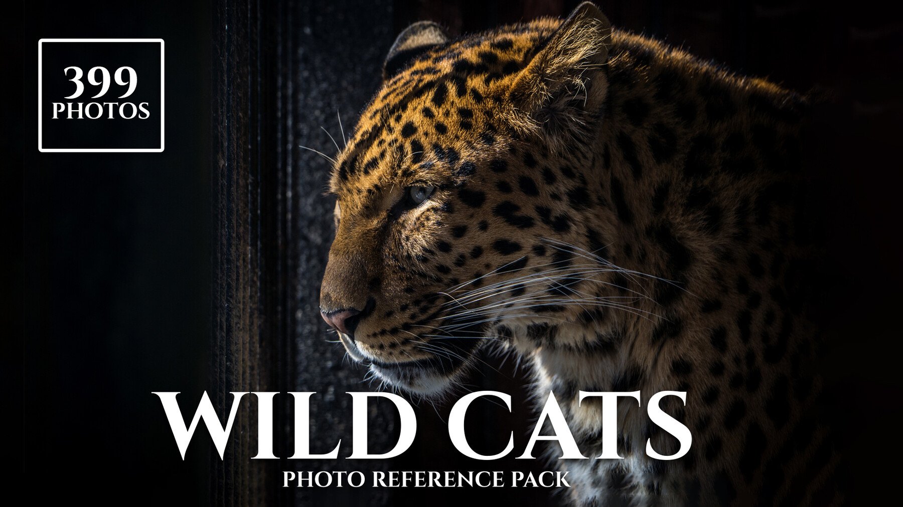 Wild Cats - Reference Photo Pack For Artists 399 JPEGs