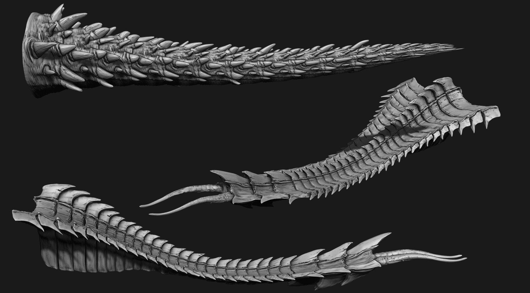 TAILS - 33 Tail Meshes & Curve Brushes