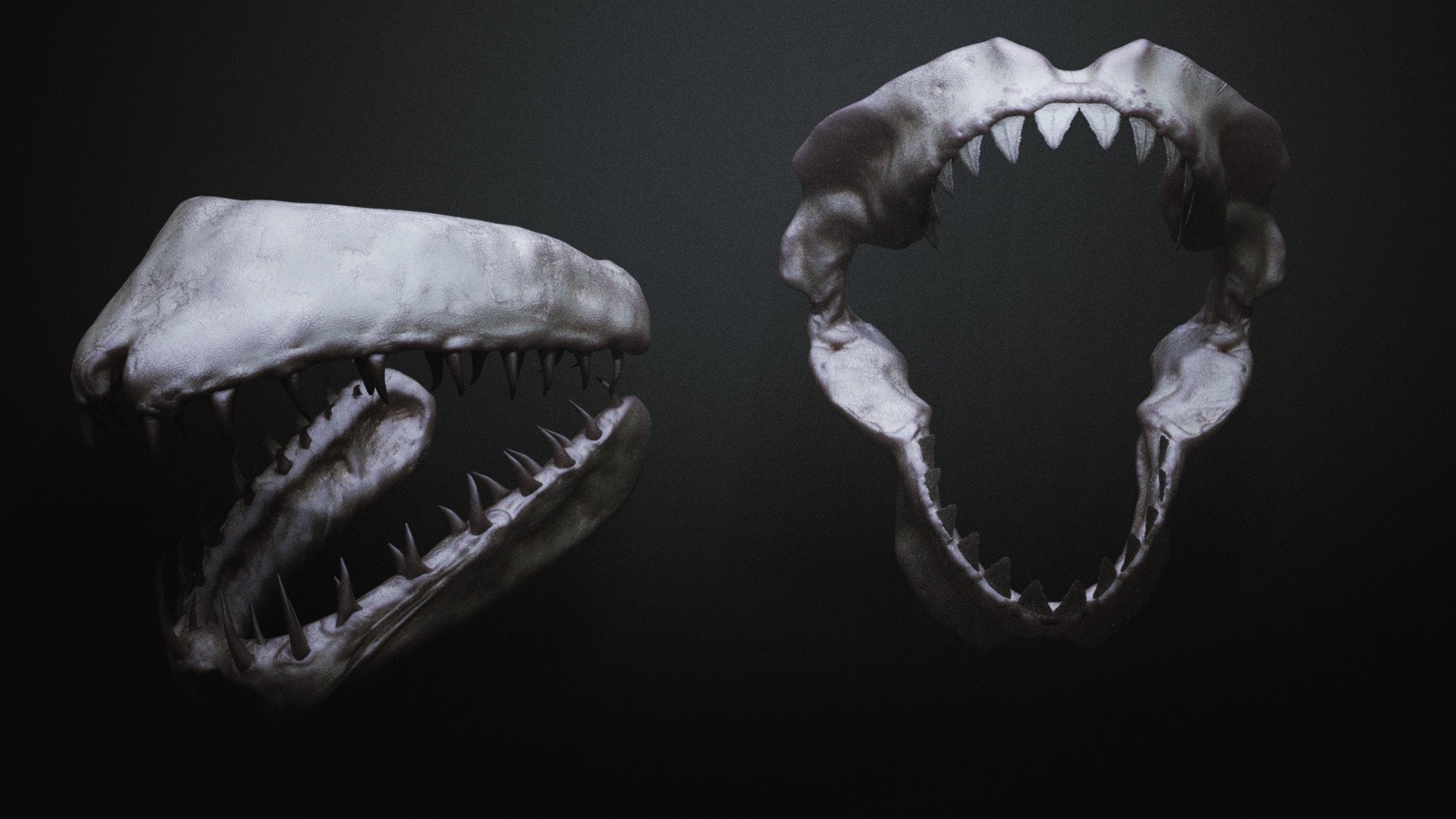 JAWS - 33 Monster Mouths 'n Skulls & IMM Brush Pack