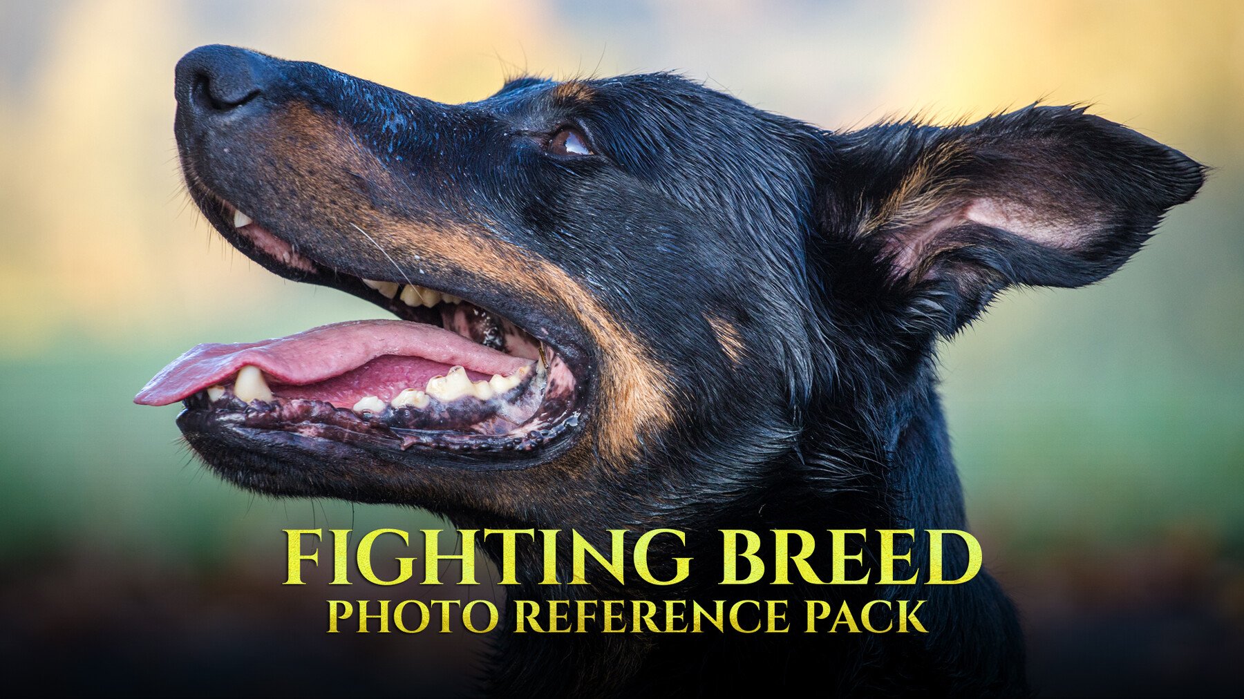 Fighting Breed - Reference Photo Pack For Artists 296 JPEGs