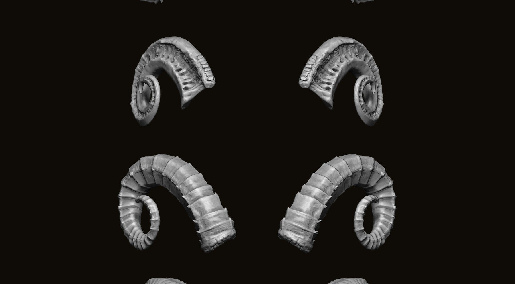 HORNS - 60 Horns, Antlers, Frills & Horn Sockets IMM + VDM