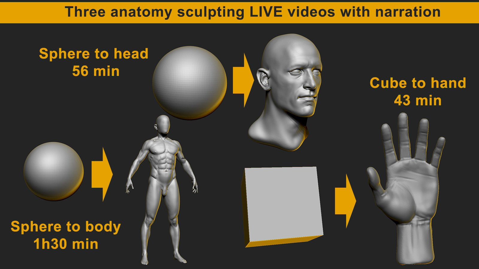 Anatomy sculpting live in Zbrush - Hand, Head and whole body from primitives