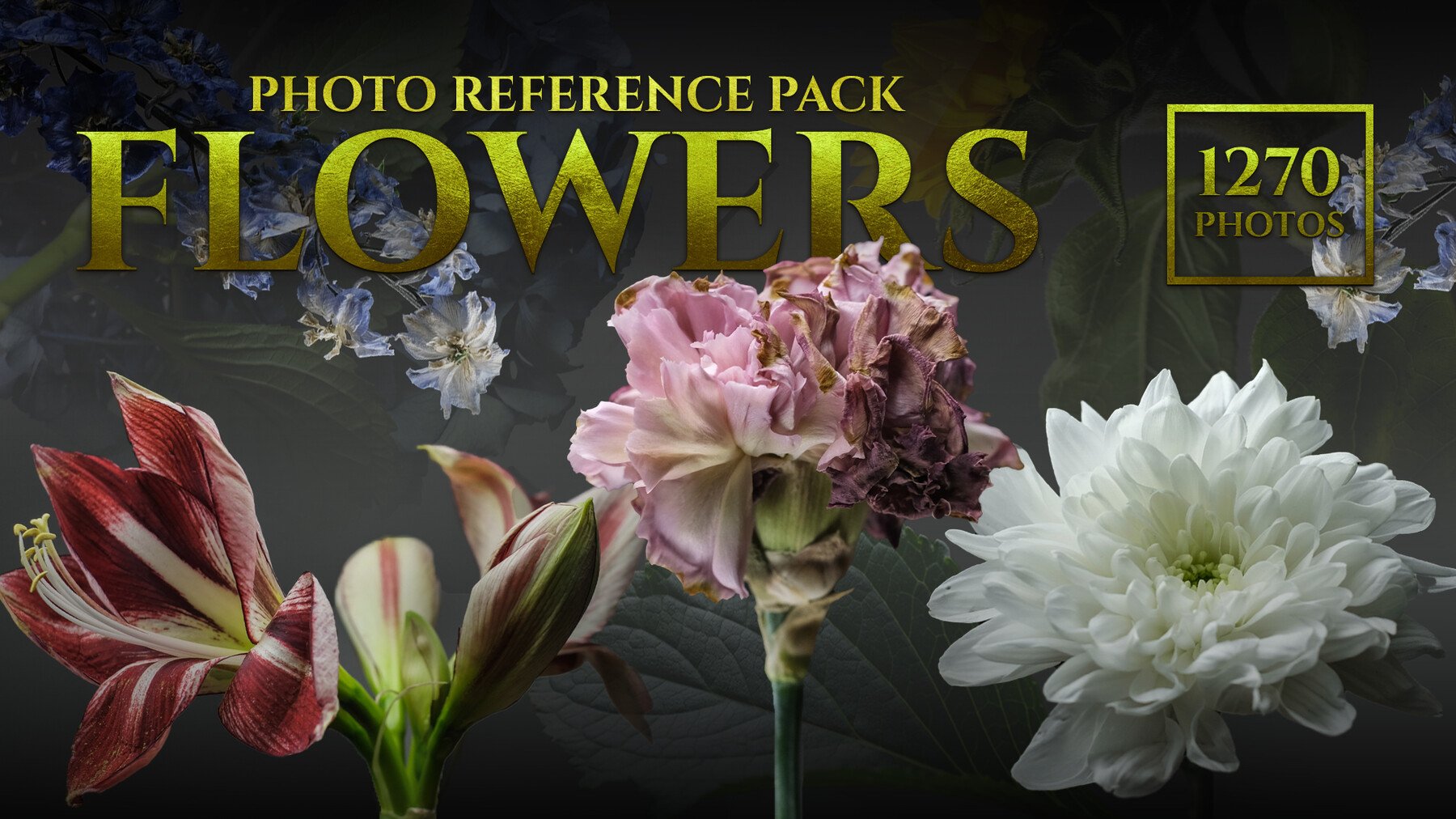 (A) Flowers - Reference Photo Pack For Artists 1270 JPEGs